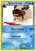 the bacon pug