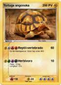 Tortuga angonok