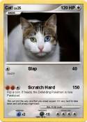 Cat!
