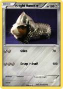 Knight Hamster