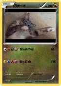 Dab cat