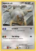 squirrel