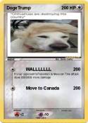DogeTrump