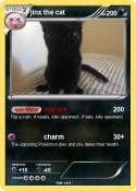 jinx the cat