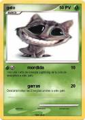 gato