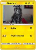Pikachu lv1