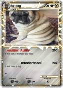 fat dog