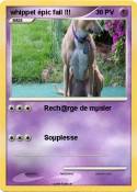 whippet épic