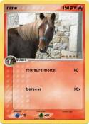 reine