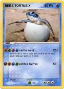 BEBE TORTUE X