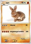 lapin