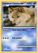 malamute d'alas