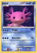 Axolotl