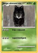 berger allemand