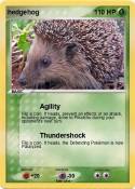 hedgehog
