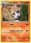 1 chat marant
