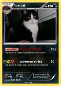 flow cat