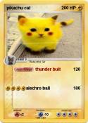 pikachu cat