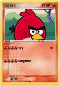red bird