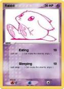 Rabbit