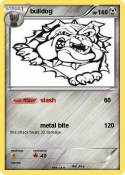 bulldog
