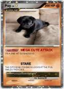 Pug