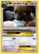 Pupachino Pup