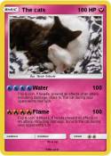 The cats