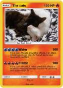 The cats