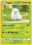 Pupper