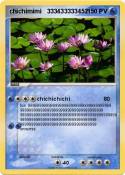 chichimimi 3334