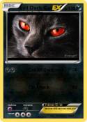 Evil Dark Cat