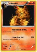 bidboy feu