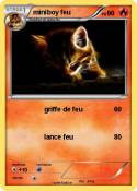 miniboy feu