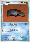 Turtle