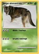berger allemand