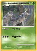 chien-loup
