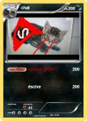 chat