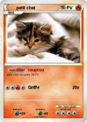 petit chat