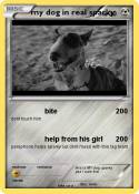 my dog in real