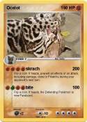 Ocelot