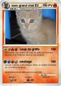 mon grand chat