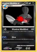 Shadow Mudkip