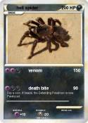 hell spider
