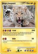 angry leopard