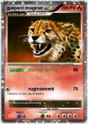 guépard imaginer