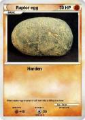 Raptor egg