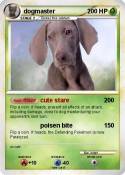 dogmaster