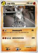 sup kitty