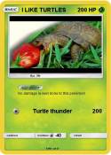 I LIKE TURTLES